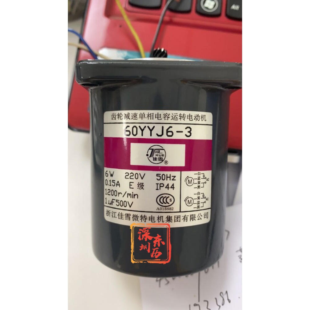 Running Gear Motor - Einphasiger Kondensatorlaufmotor mit Untersetzungsgetriebe 60YYJ6-3 Zhejiang