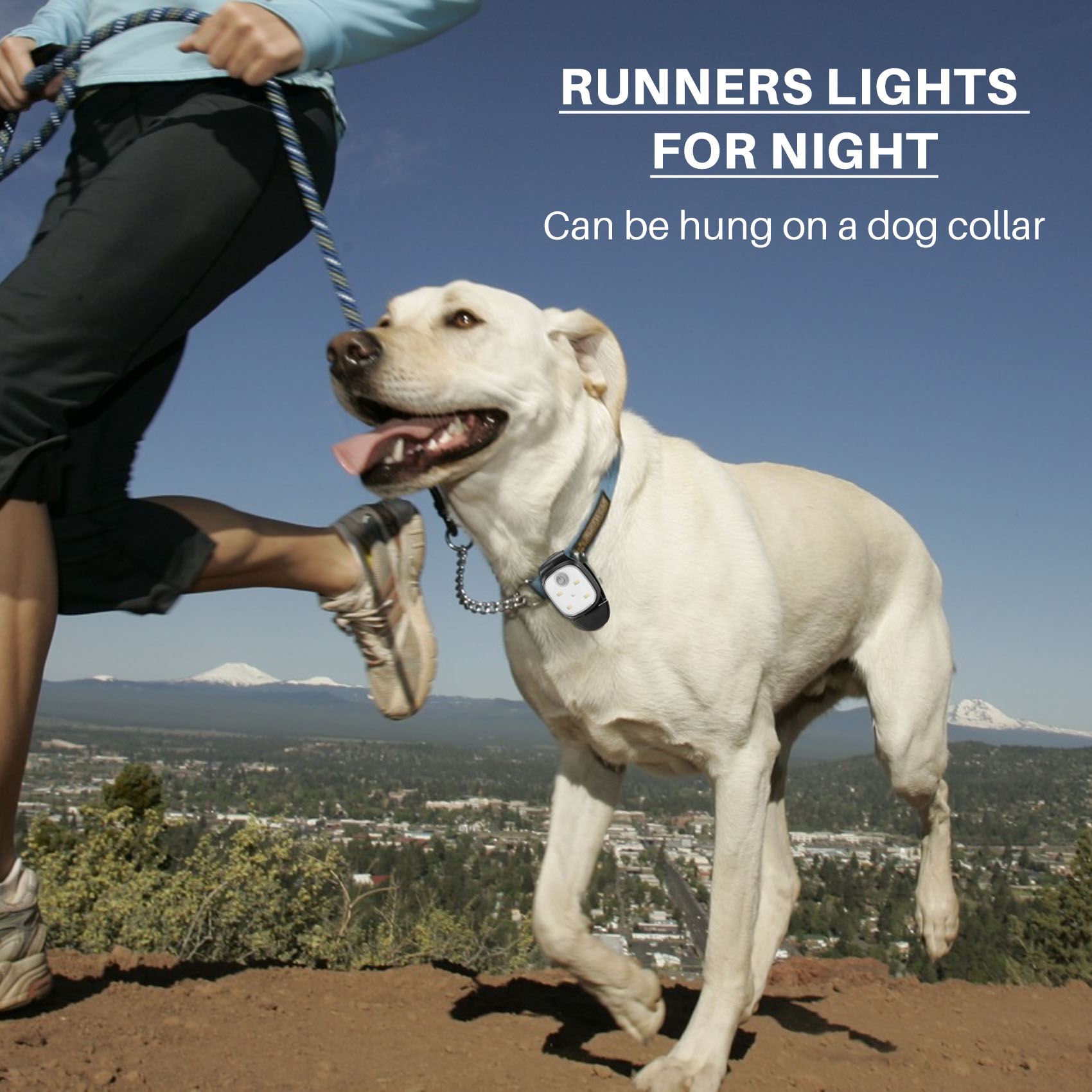 XSXS-Outdoor Night Clip On Lau – Running Gear Accessories Bewertung und Preis